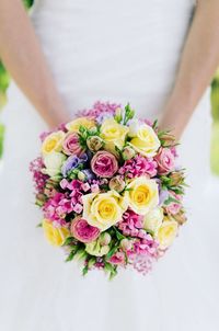 Close-up of multi colored flowers