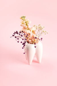 Close-up of pink flowering plant against white background