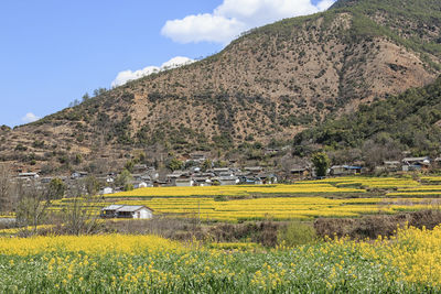 Low angle view of agricultural field against sky