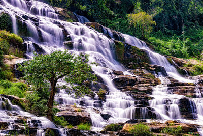 Scenic view of waterfall in forest