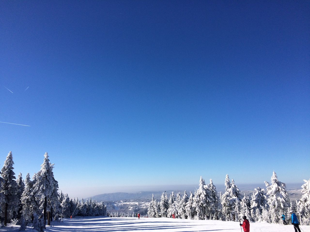 WINTER LANDSCAPE AGAINST CLEAR BLUE SKY