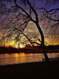 Silhouette of bare trees against sky at sunset