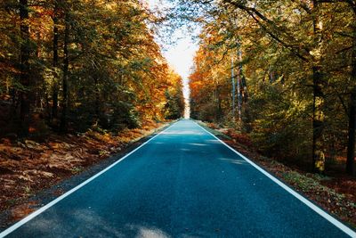 Road amidst trees in forest during autumn