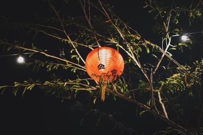 Close-up of illuminated lantern on field at night