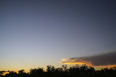 Low angle view of silhouette trees against sky during sunset