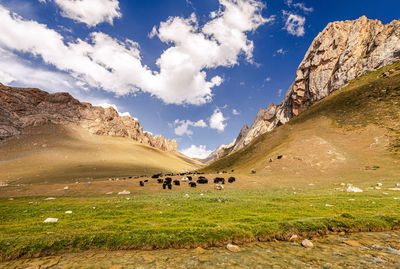 Scenic view of landscape against sky