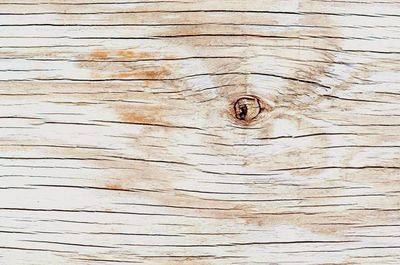 Full frame shot of weathered wooden wall