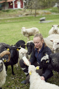 Young woman feeding milk to sheep from bottle on field