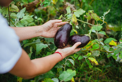 Midsection of woman holding fruit