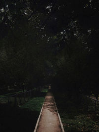 View of star field at night