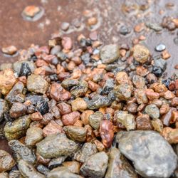 High angle view of crab on rocks