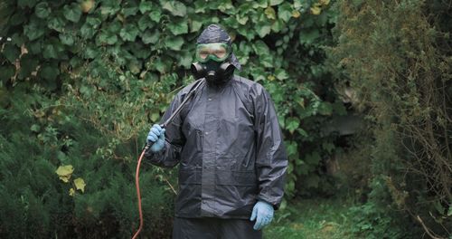 Rear view of man standing against trees