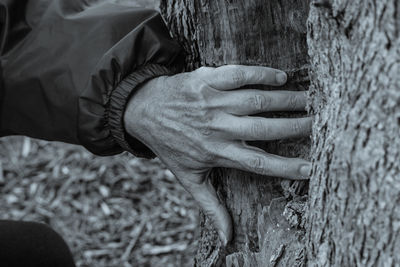 Close-up of man hand holding tree trunk
