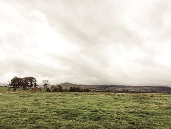 Scenic view of field against sky