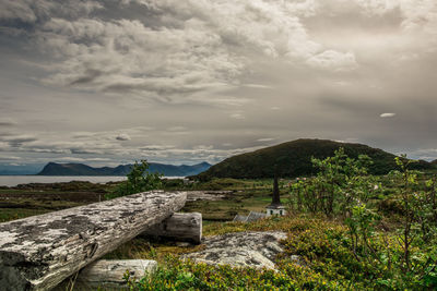 Rough wooden benches made of logs, against the background of a mountains. high quality photo