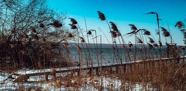 Scenic view of lake against sky during winter