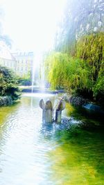 Scenic view of waterfall in park against sky