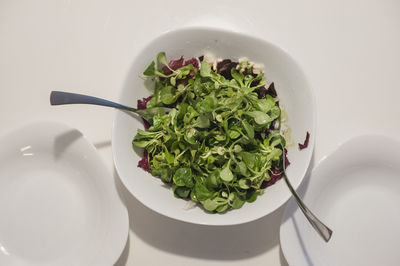 High angle view of salad in bowl