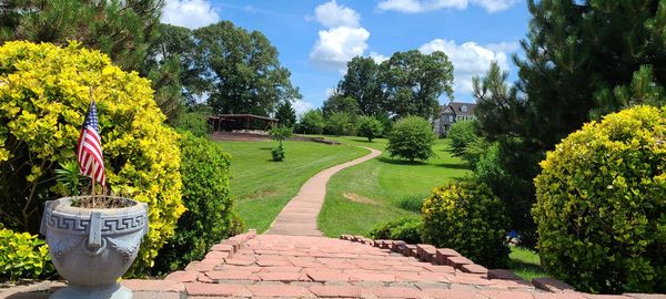 Footpath amidst plants and trees against sky