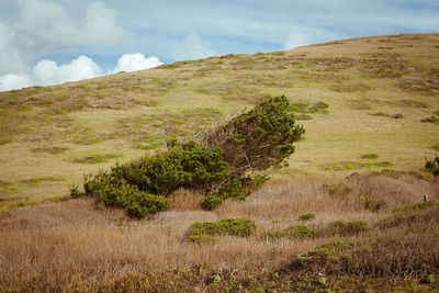 Scenic view of land against sky