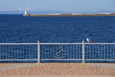 Watching out to sea in aomori, japan