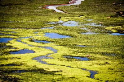 Aerial view of a lake