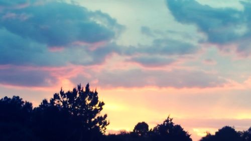 Low angle view of silhouette trees against dramatic sky