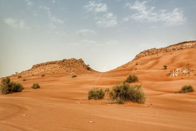 Scenic view of desert against sky