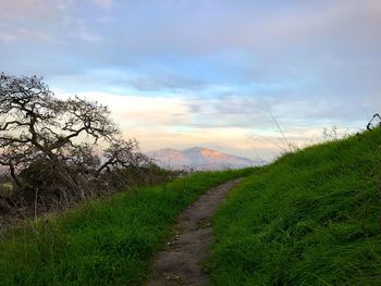 Scenic view of landscape against sky during sunset