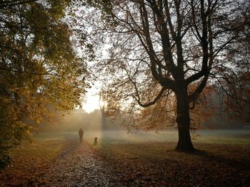 Man standing in forest during autumn