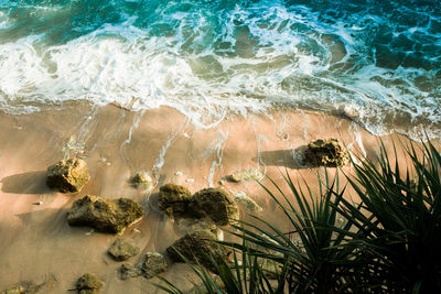 High angle view of beach