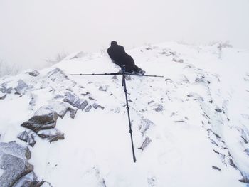 Silhouette of photographer with tripod in the fog.. photographer works in foggy winter landscape