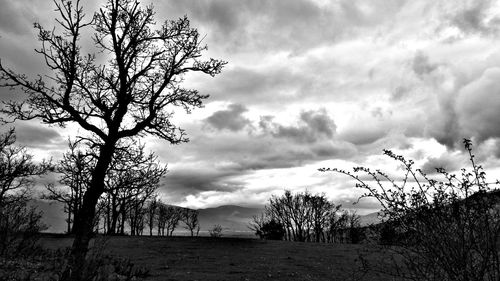 Silhouette bare trees on field against sky