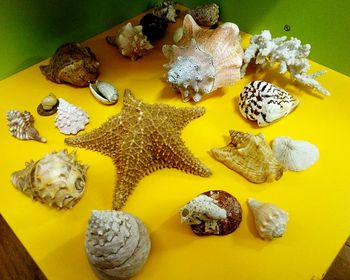 Close-up high angle view of yellow art