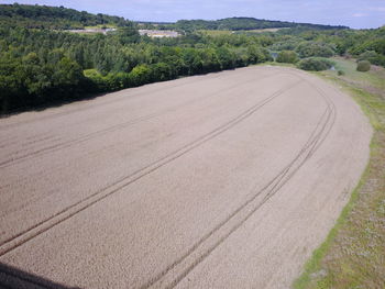 Scenic view of agricultural field