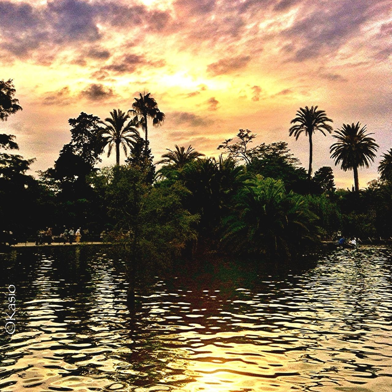 sunset, water, sky, cloud - sky, beauty in nature, scenics, palm tree, tranquil scene, tranquility, tree, orange color, nature, waterfront, cloudy, dramatic sky, sea, idyllic, cloud, rippled, silhouette