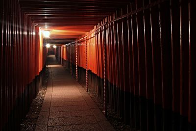 Torii gate at night