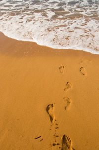 High angle view of footprints on sand at beach