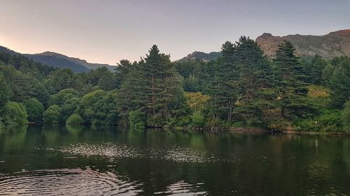 Scenic view of lake by trees against clear sky