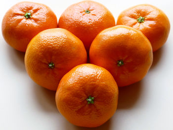 Close-up of oranges against orange background