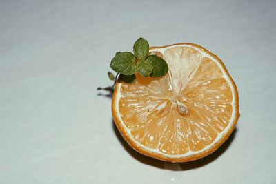 High angle view of lemon slice against white background