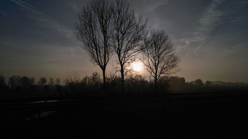 Silhouette trees against sky during sunset