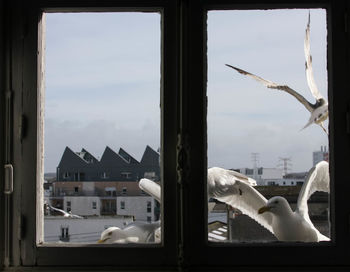 View of buildings against sky seen through window