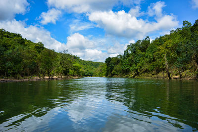 Scenic view of lake by trees against sky