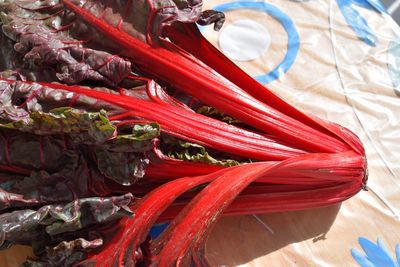 Close-up of beet greens on table