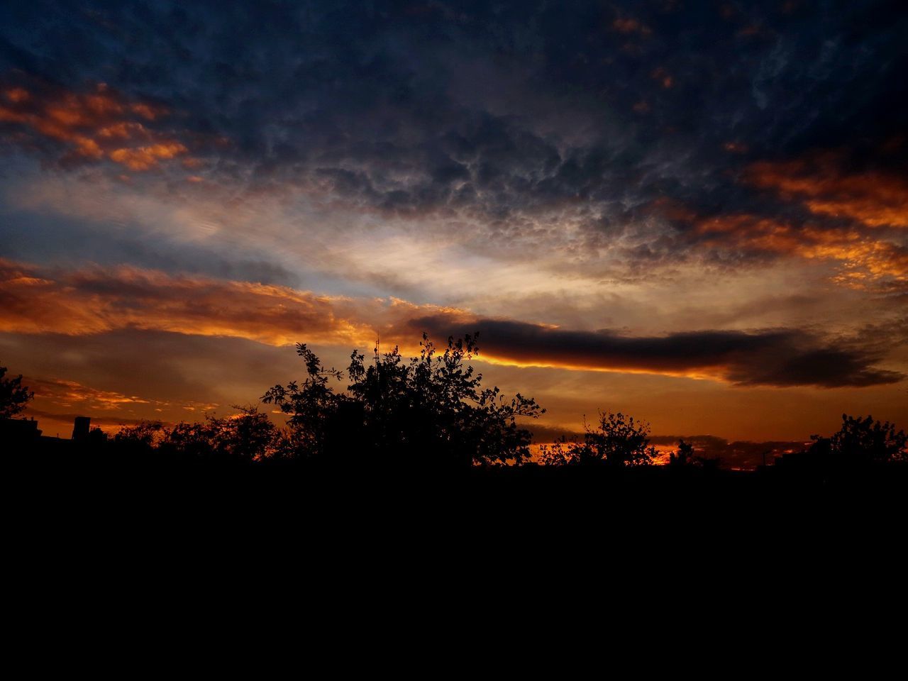 SILHOUETTE TREES AGAINST SKY DURING SUNSET