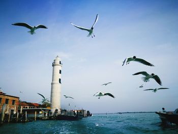 Seagulls flying over sea against sky