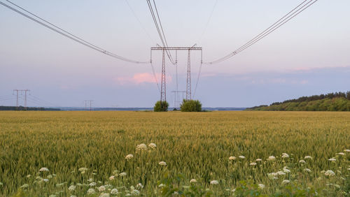 Power lines at sunset in the field