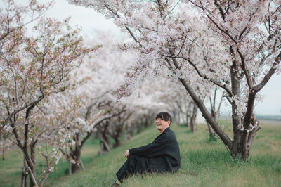 Portrait of cherry blossoms in park