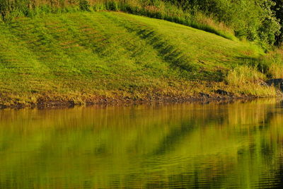 Scenic view of lake